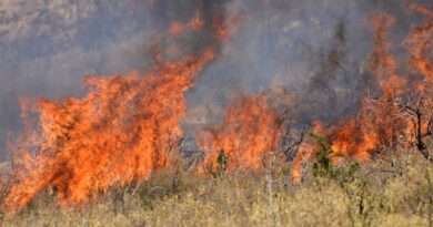 61 αγροτοδασικες πυρκαγιές σε όλη τη χώρα. Φωτιά και στην περιοχή Μοναστηράκι του Δήμου Νέστου